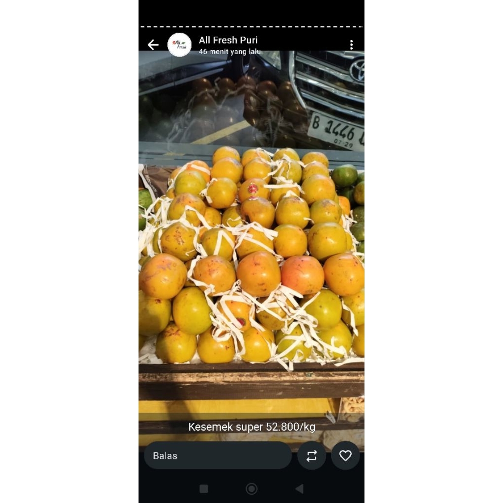 buah kesemek lokal Nusantara lokal crunchy dan manis 1 kg