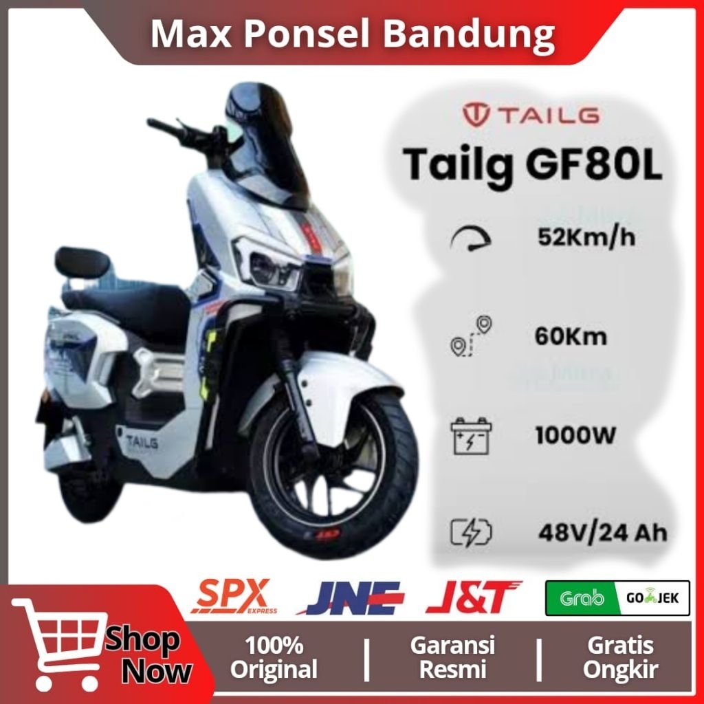 Motor listrik Tailg GF80L 1000watt 48/24ah murah