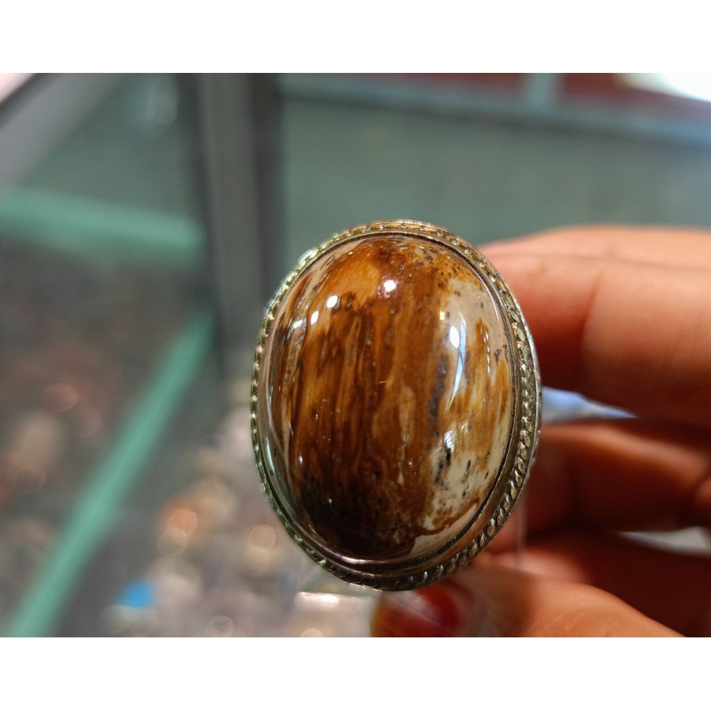 Cincin Fosil kelor(Natural)