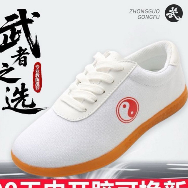 PO SEPATU TAICHI / WUSHU