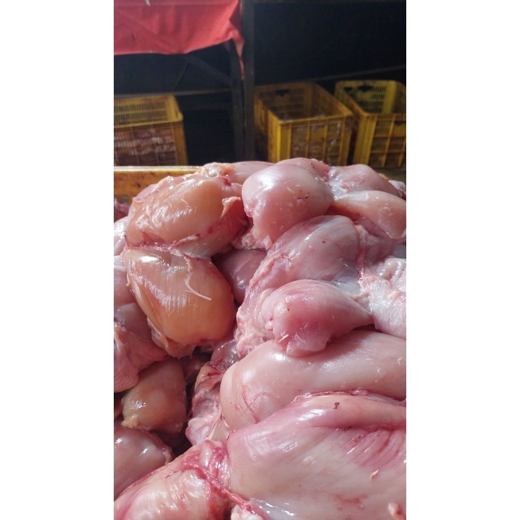 ayam fillet medan dada ayam fillet