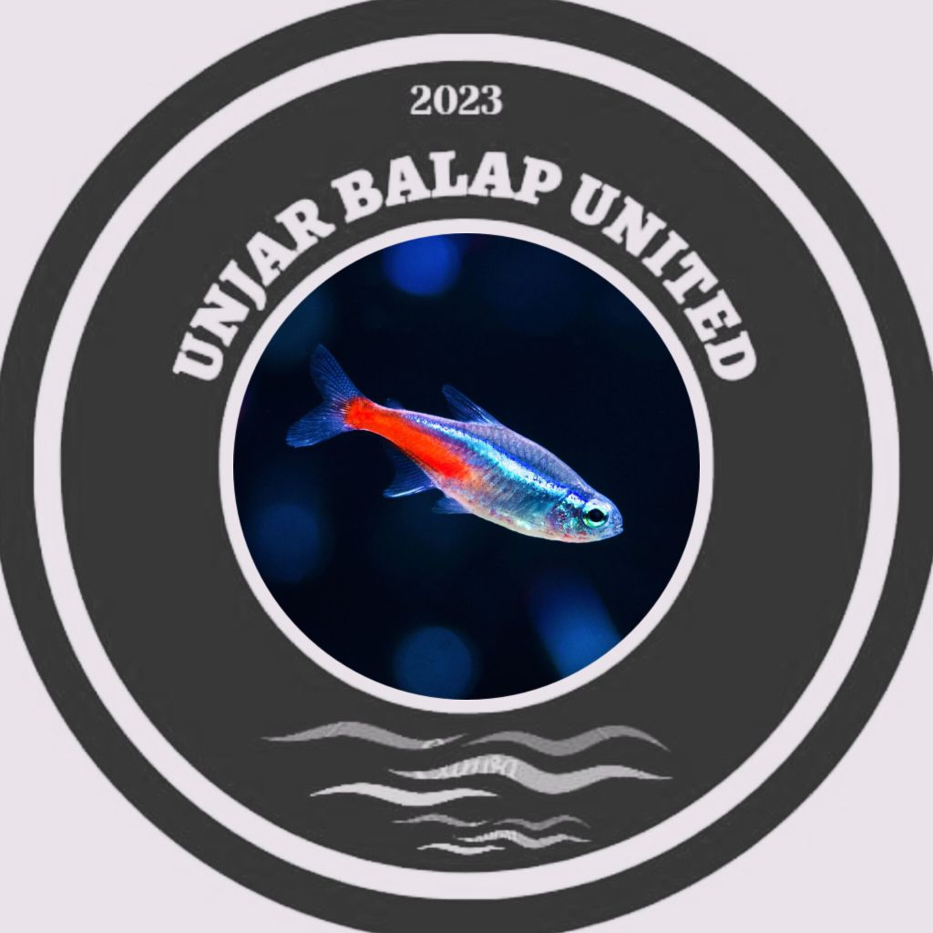 Neon Tetra / Tetra Neon / hiasan aquarium