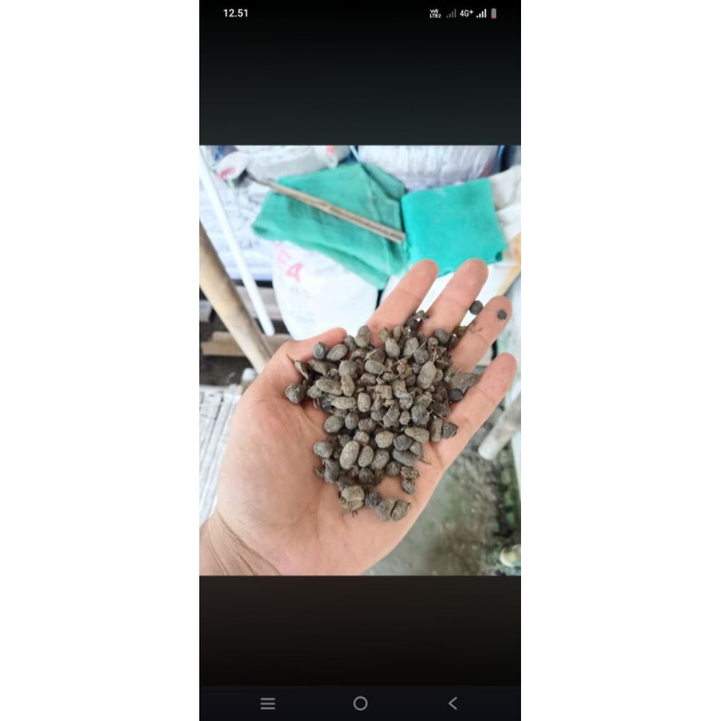 Pupuk kandang kambing langsung dari kandang tanpa campuran apapun paket 500g atau 1/2 kilo
