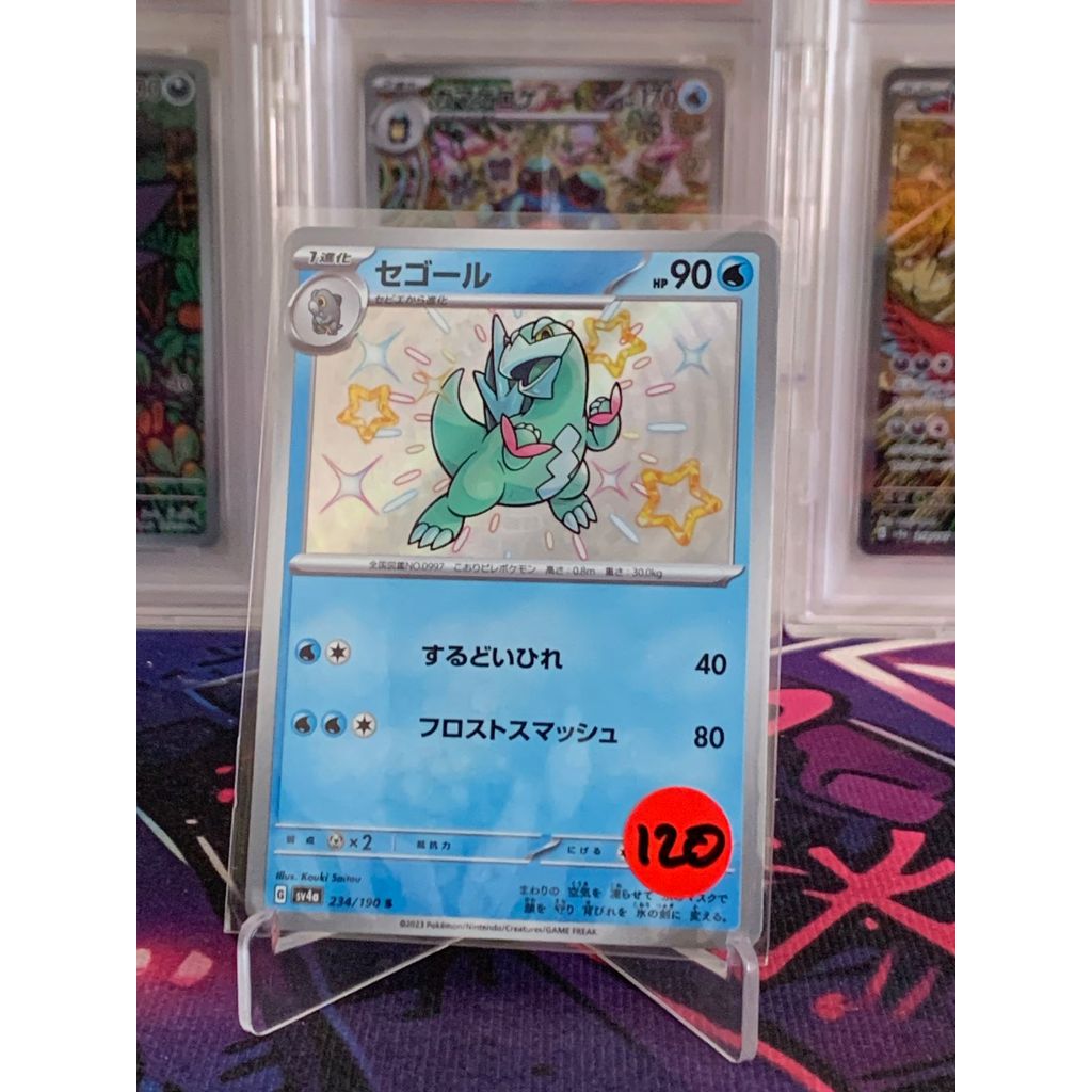 Arctibax Shiny Pokemon Japanese