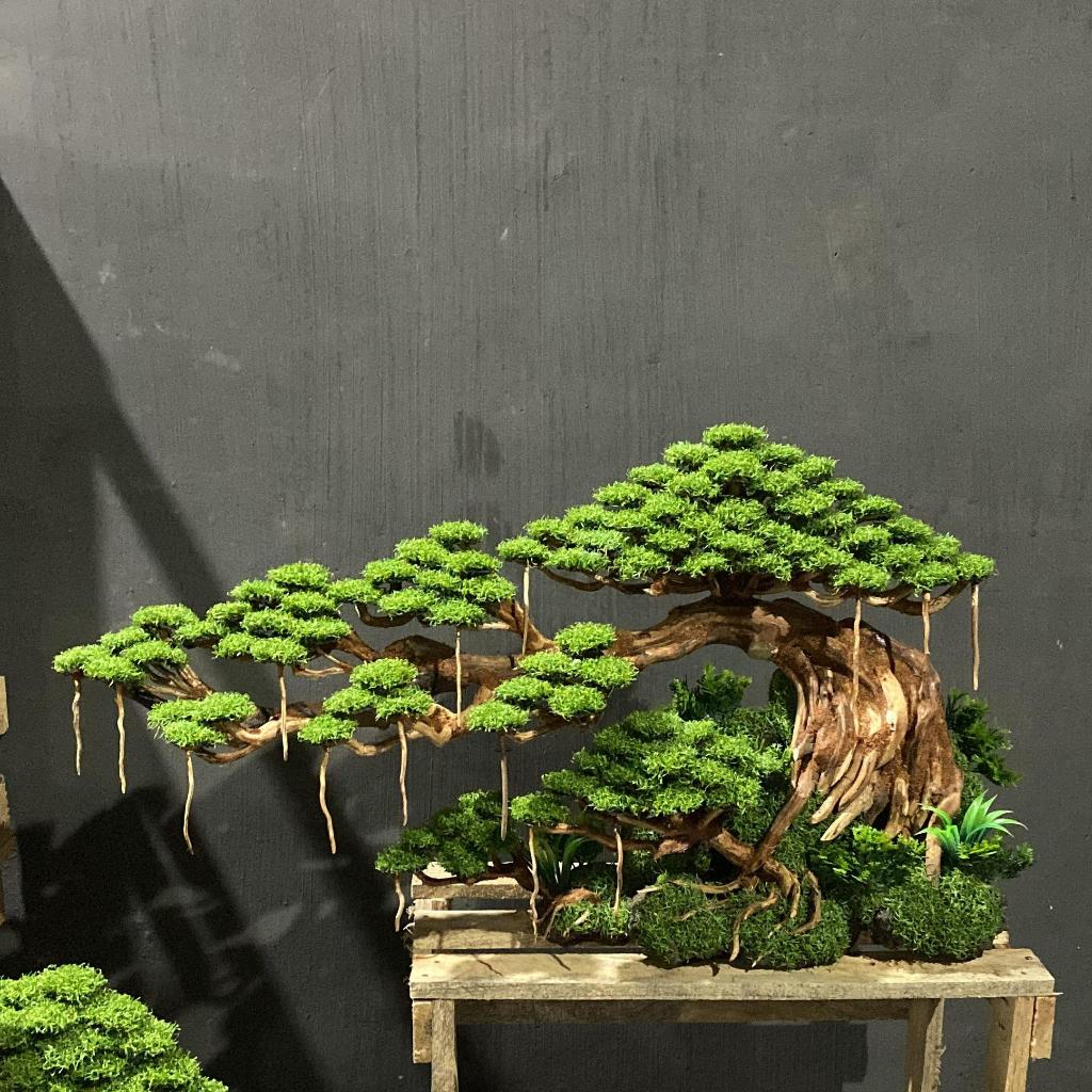 SIZE XXL | Kanopi Doyong (Panjang 60CM+++ )| Bonsai Aquarium / Aquascape / Bonsai Artificial - KHUSU