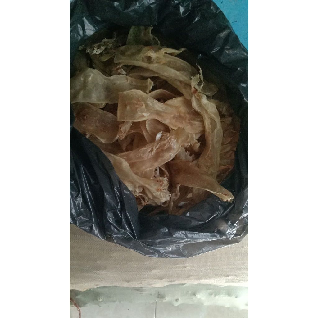 gelembung ikan/fishmaw kakap putih/seabass 1jt/500gr