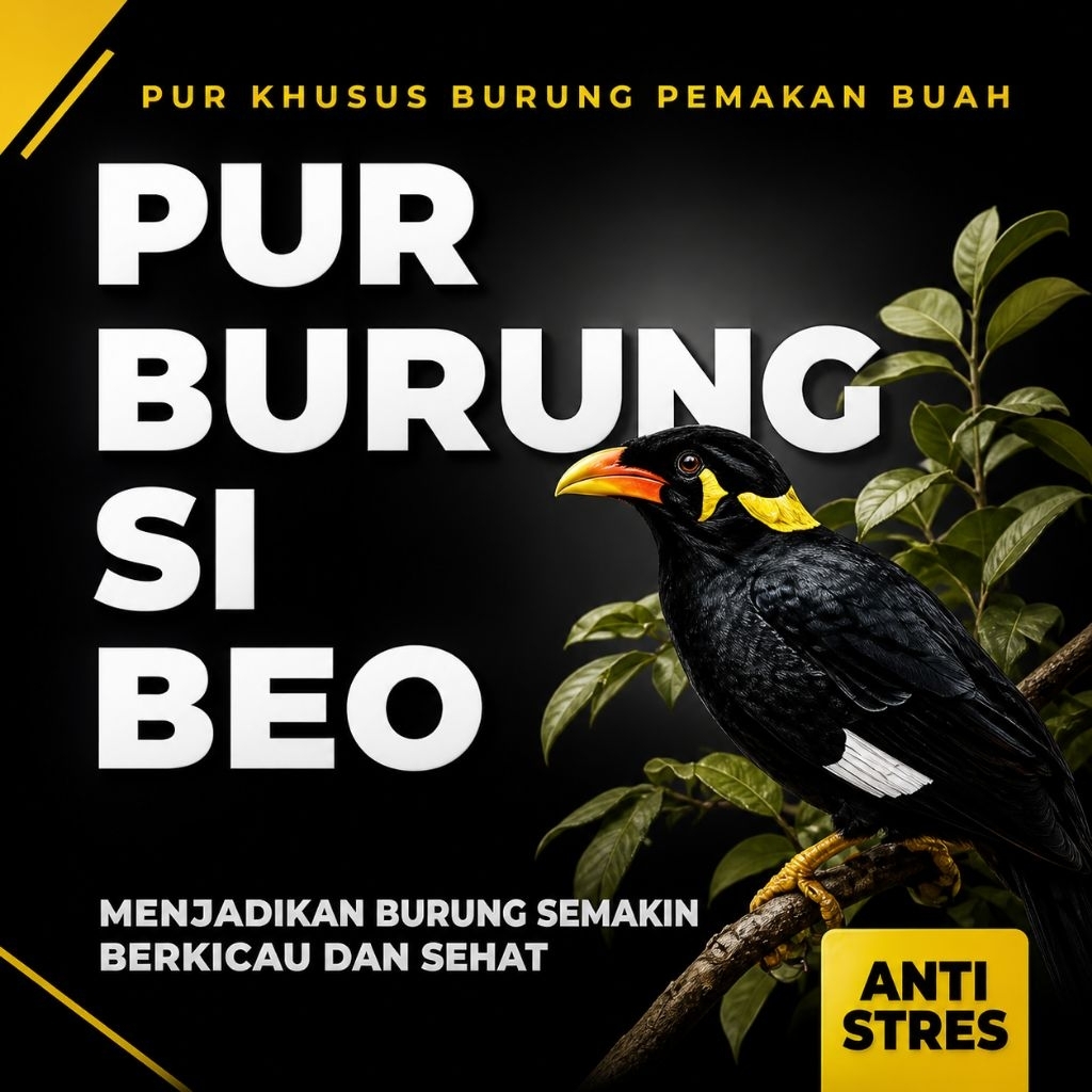 Pur khusus penggacor burung beo 300 gr