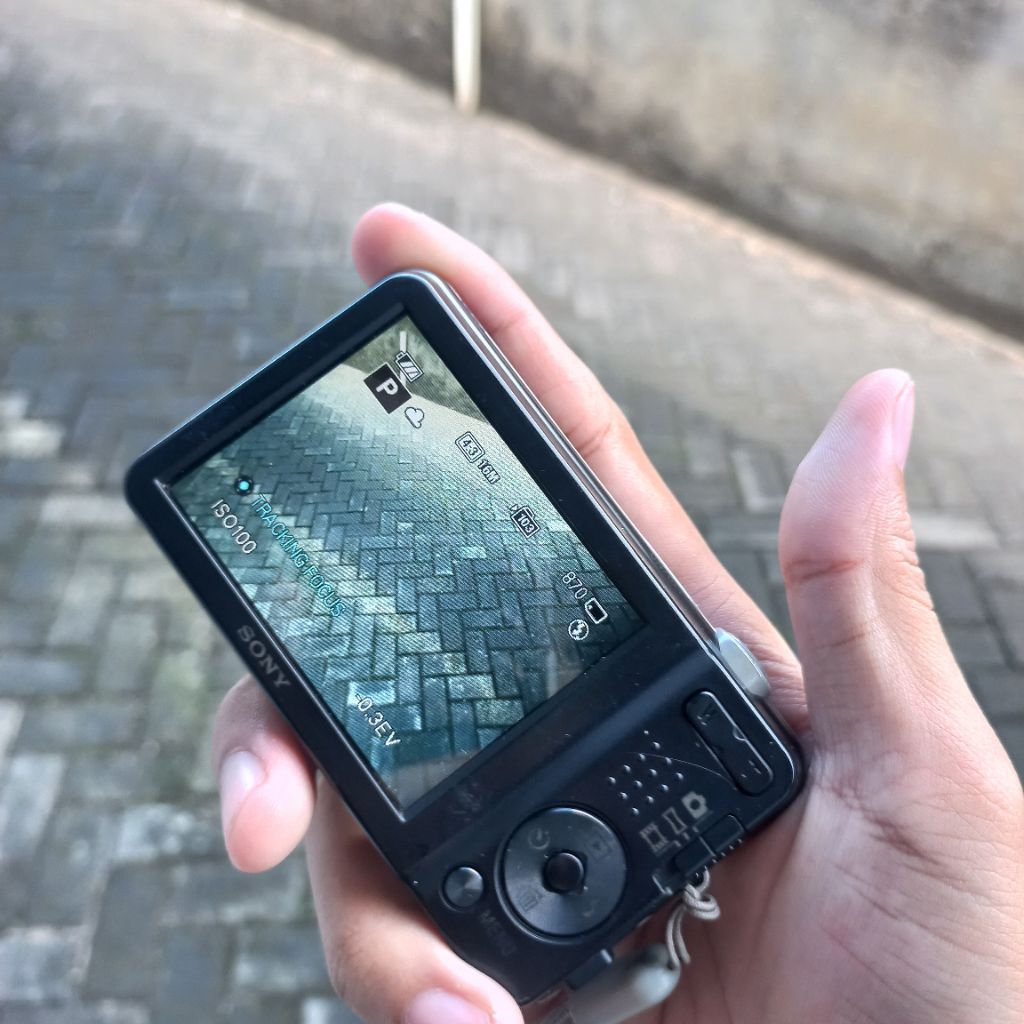Sony W710