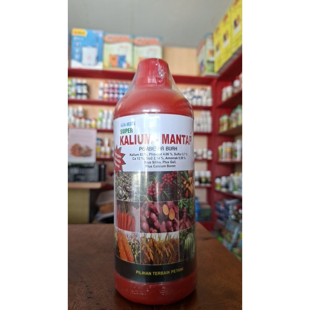 Pupuk KALIUM Alfagreen Super KALIUM-MANTAP Pembesar Buah dan Umbi
