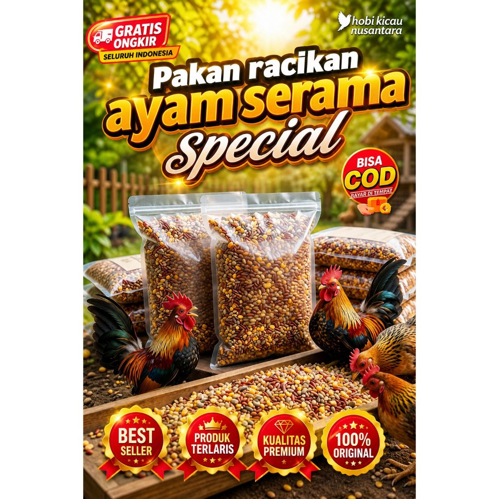 makanan harian ayam kate/serama/pakan harian pokok serama dan ayam kate lebih ekonomis