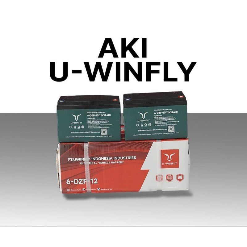AKI SEPEDA LISTRIK U-WINFLY / CHILWEE (SATUAN)
