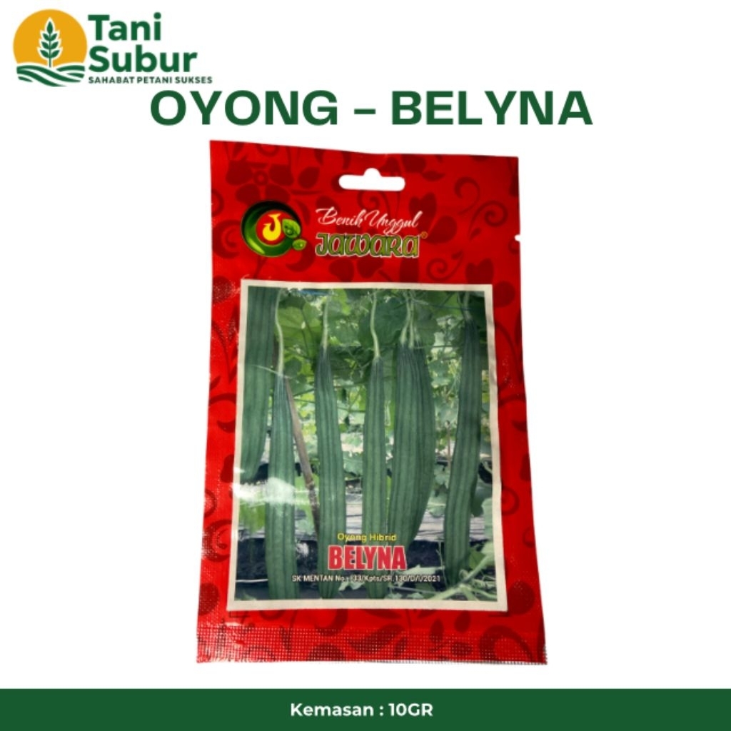 GAMBAS HIBRID BELYNA 10GR JAWARA - BIBIT
