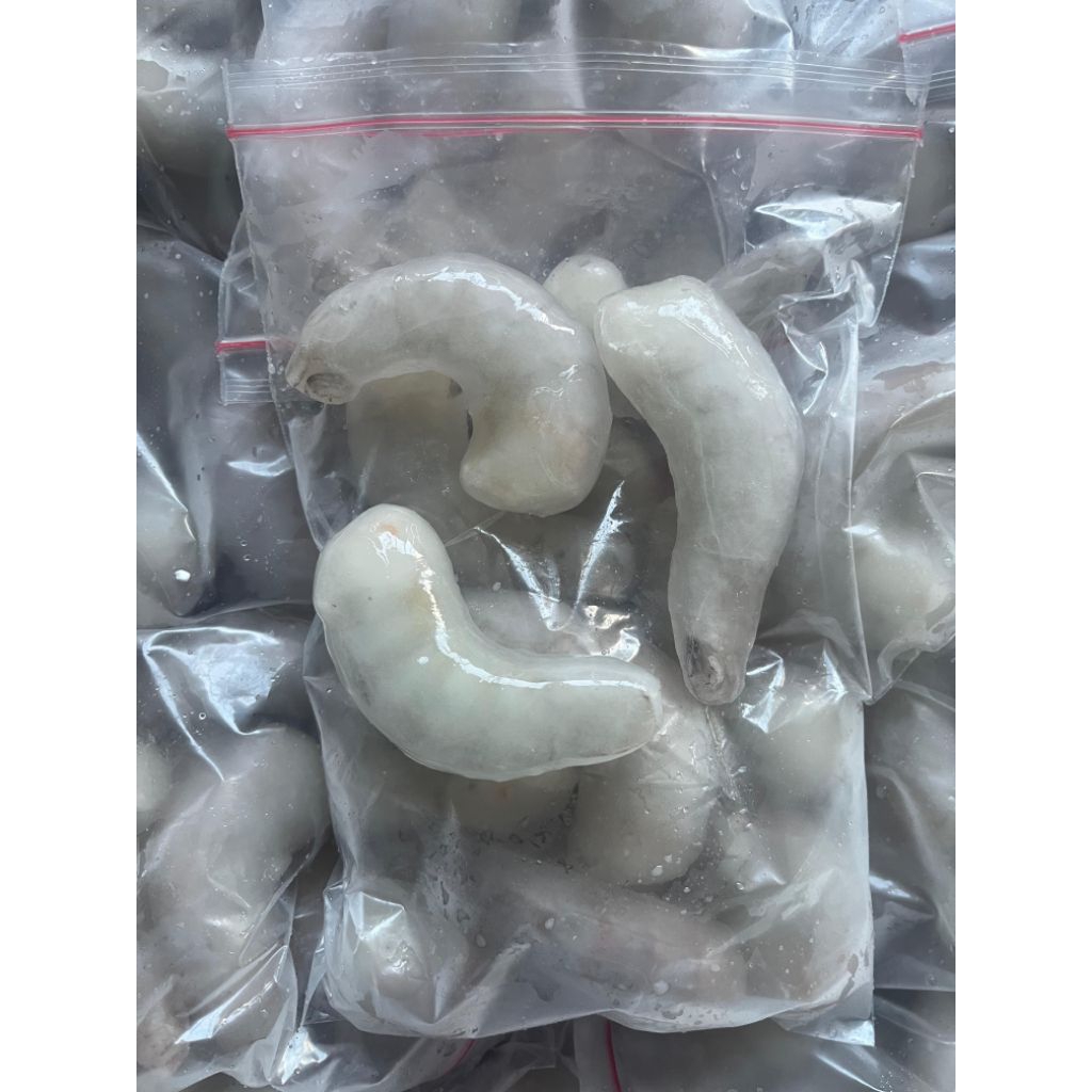 udang kupas frozen