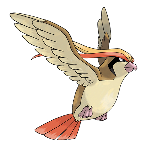 PIDGEOT - Pokemon TCG EN / JP Compilation (Common, Holo, R, AR, RR, SR)