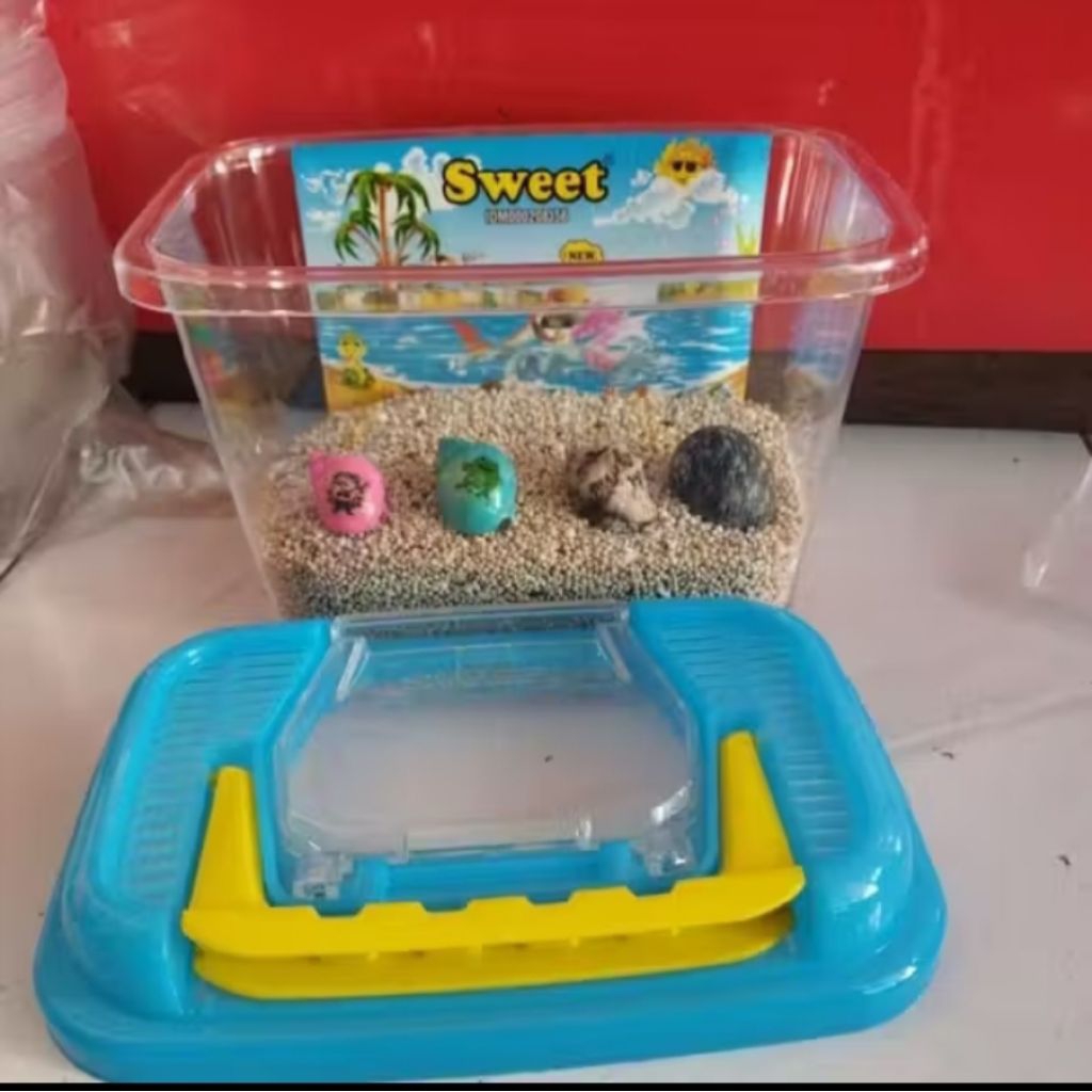 Paket murah 1 pcs aquarium mini, 1 botol  air laut murni & 5  pcs kelomang sedang