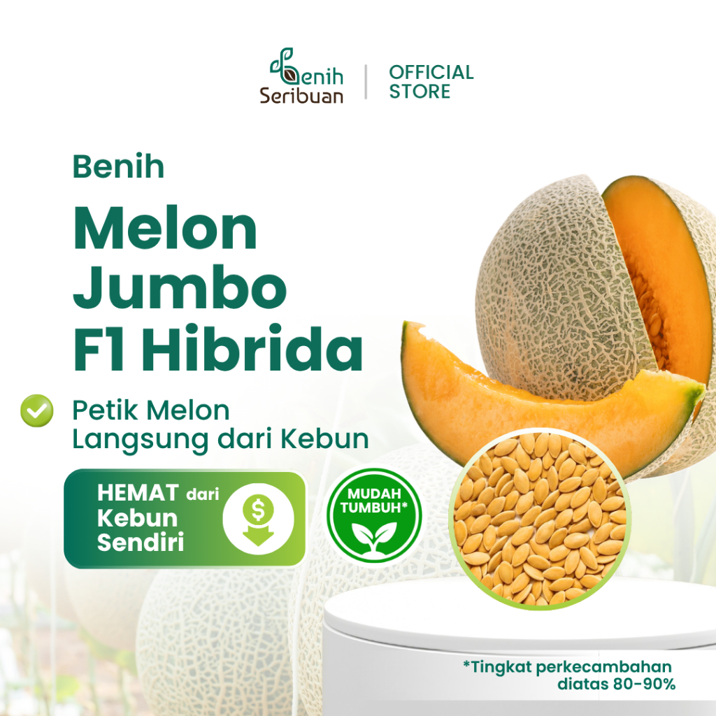 2 Benih Bibit Melon Jumbo F1 Hibrida Tanaman Buah Buahan Melon Orange Manis Super Besar Bintang Asia