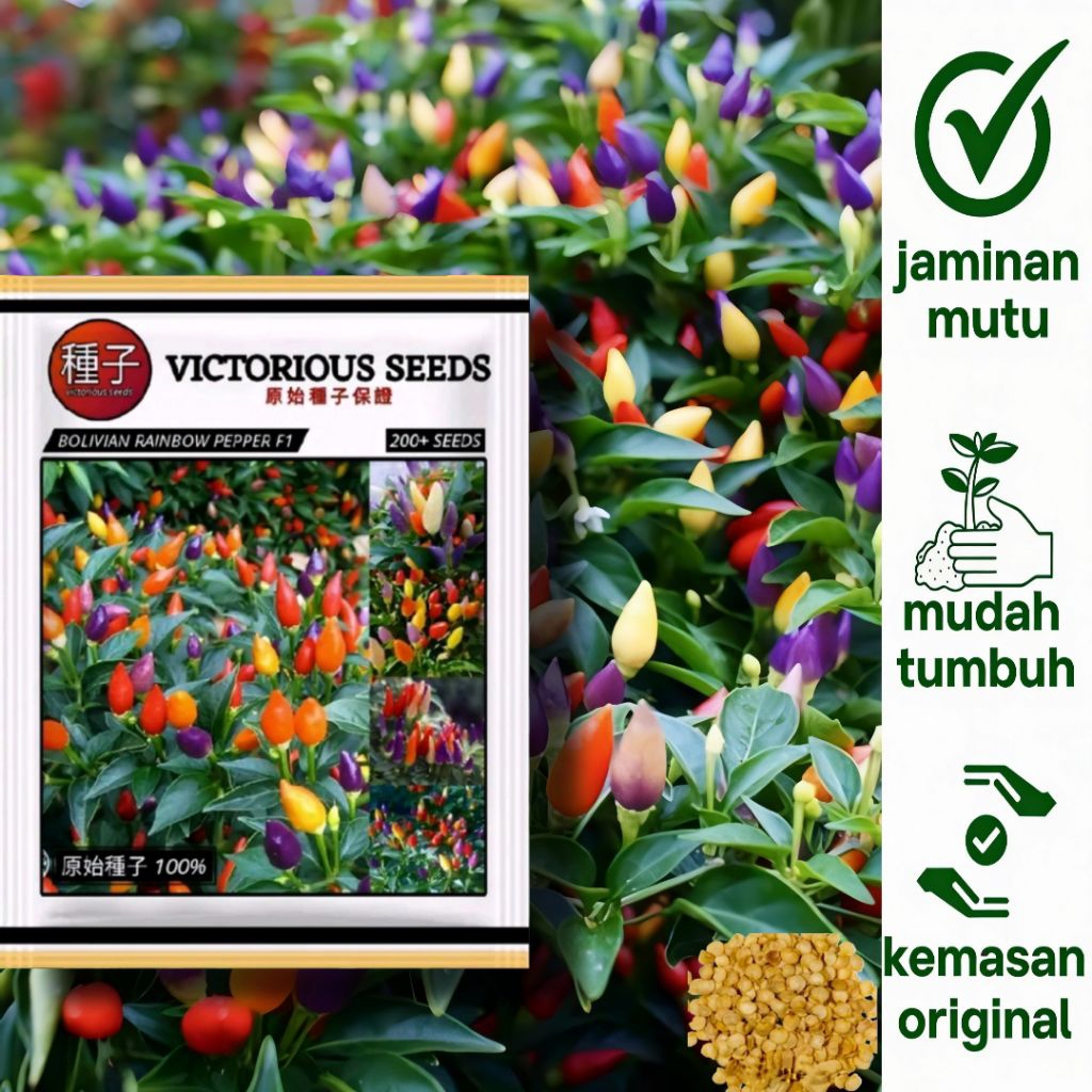 200 Biji Benih Cabai Unik Unggul Rainbow Import / Benih Cabai Import Unik Pedes Gileee / Benih Cabai