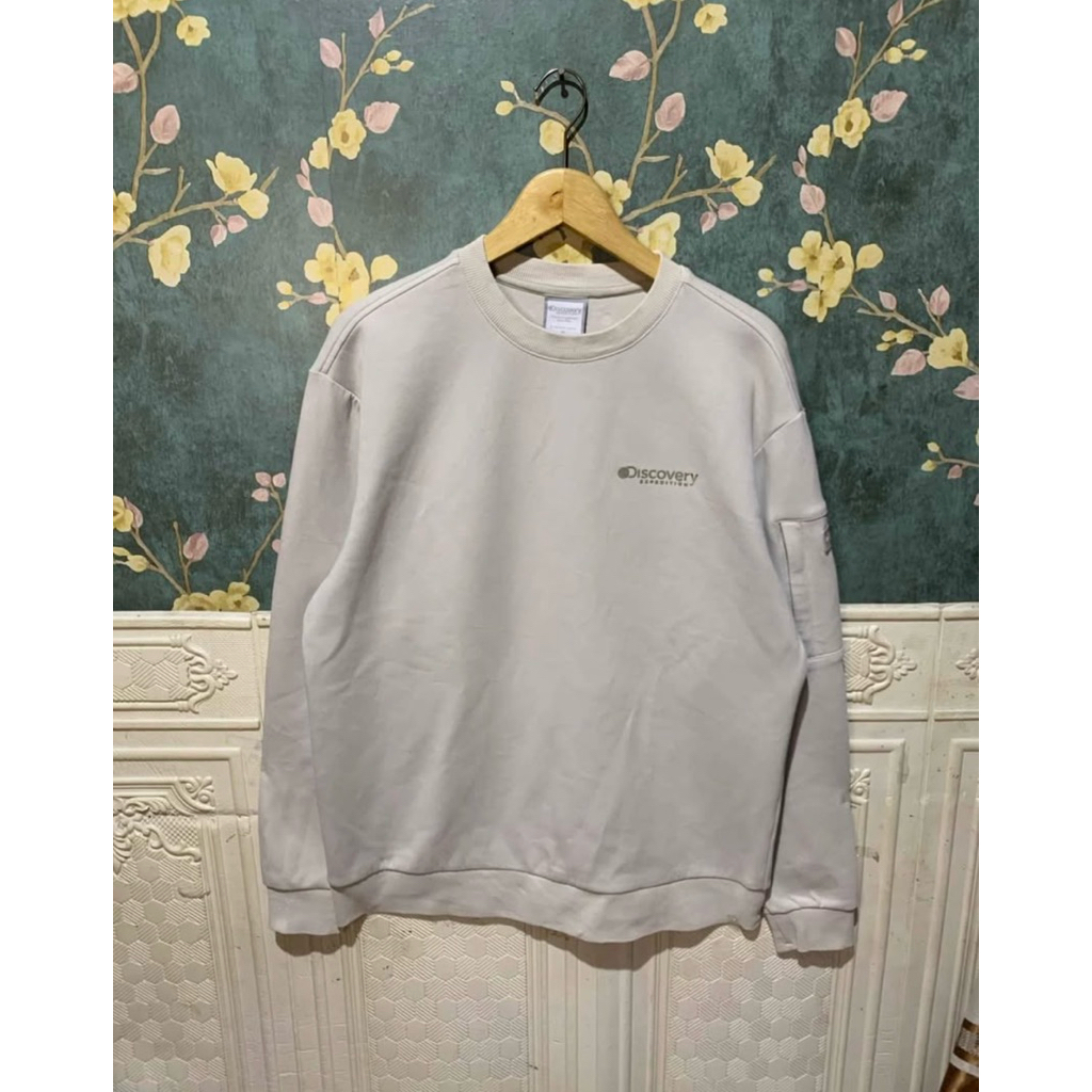 crewneck discovery patch
