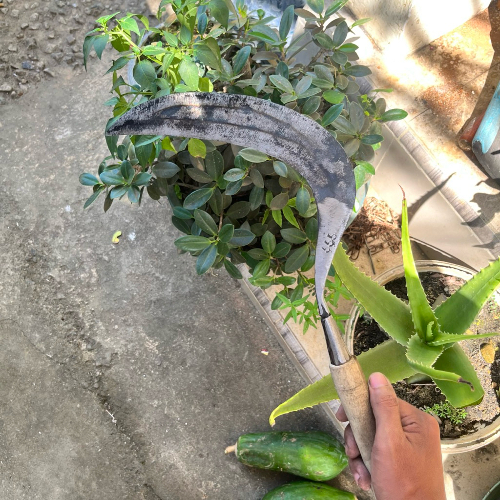 Baja Isen Pemangkas Rumput Sabit Arit Baja isen Ringan Super Tajam