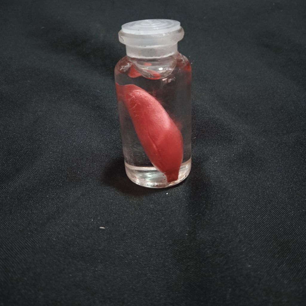 Minyak Kembang Knthil merah