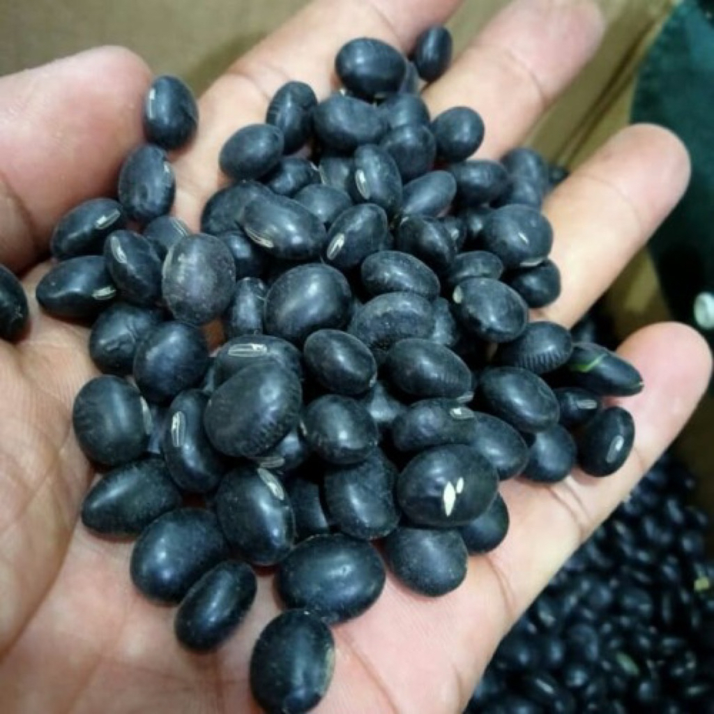 KEDELAI HITAM KEDELAI MALIKA 1 KG