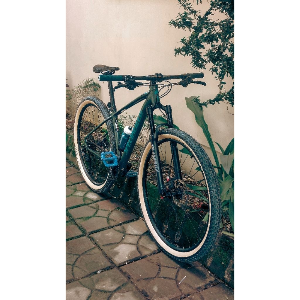 frame specialized rockhopper comp size s