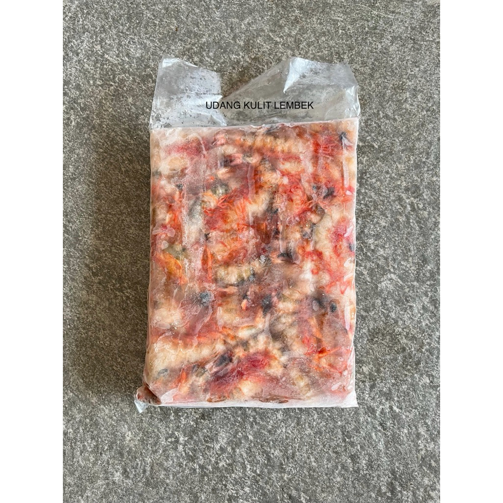 UDANG LAUT TIGER MERAH KULIT LEMBEK