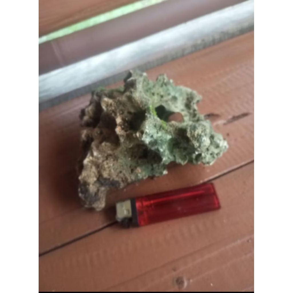 Promo COD batu karang, batu bolong, batu alam, batu natural karang bonsai batu aquaskep Astam_Bonsai