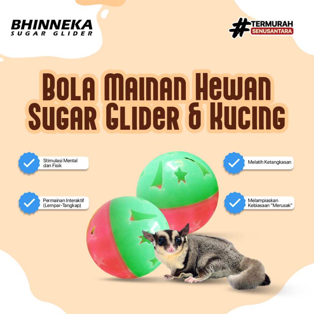 Mainan Bola Sugar Glider, Kucing, Tupai Terbang