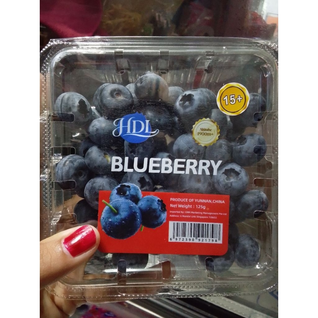 blueberry fresh bagus fresh 125 g