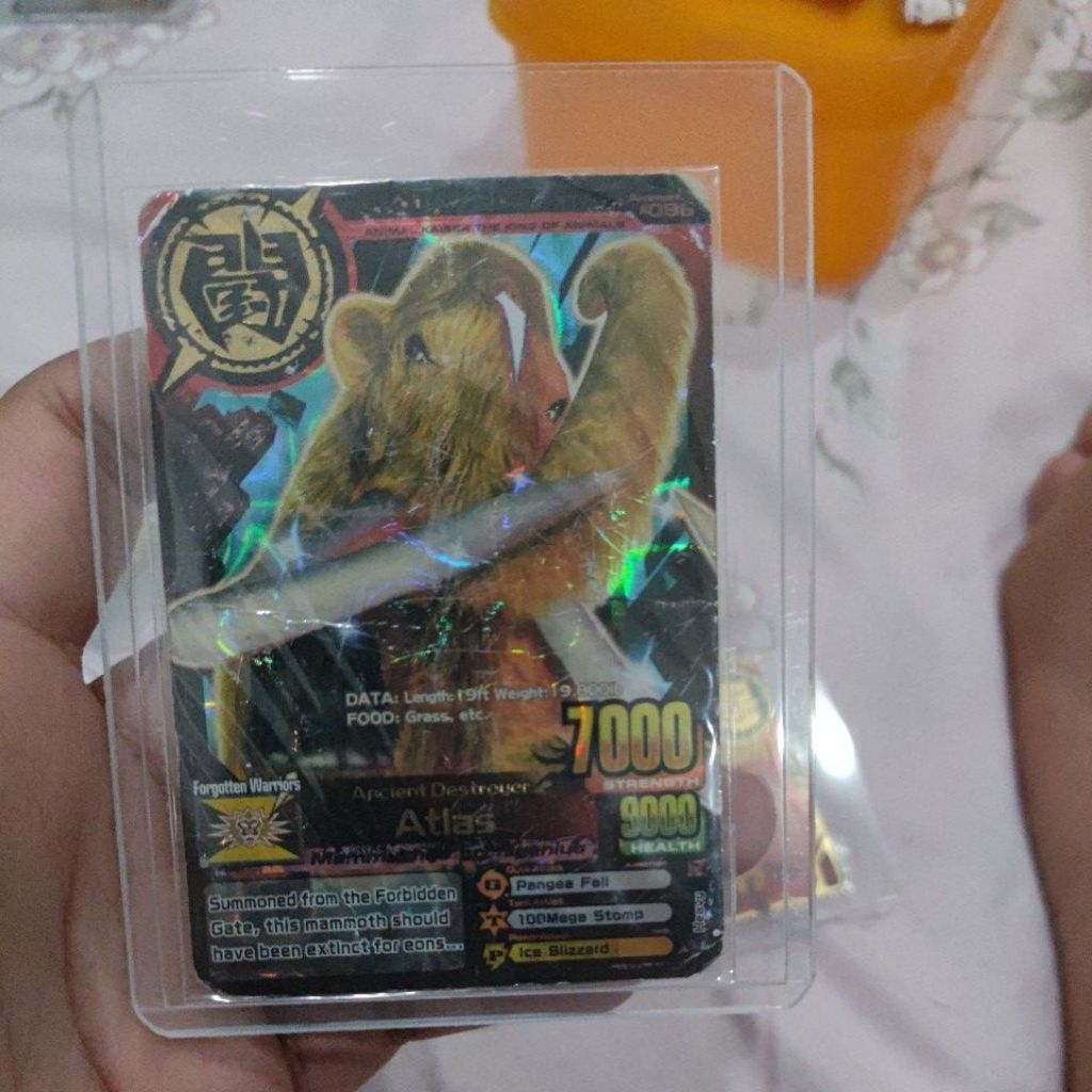 animal kaiser atlas