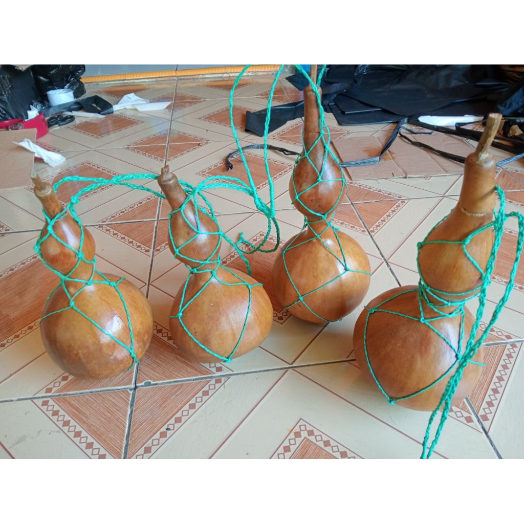 labu botol kering tempat air minum tradisional
