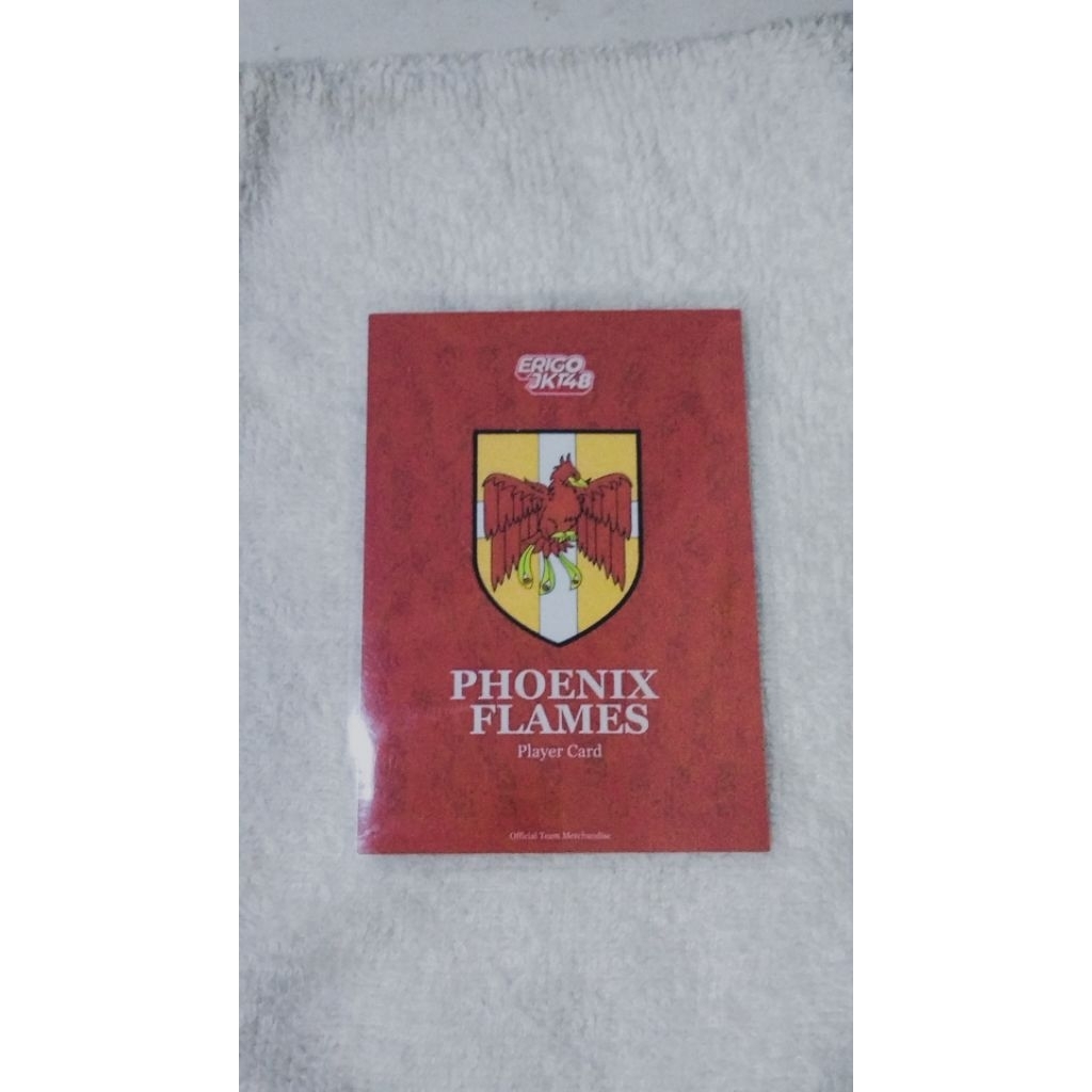photocard panini Ella erigo official