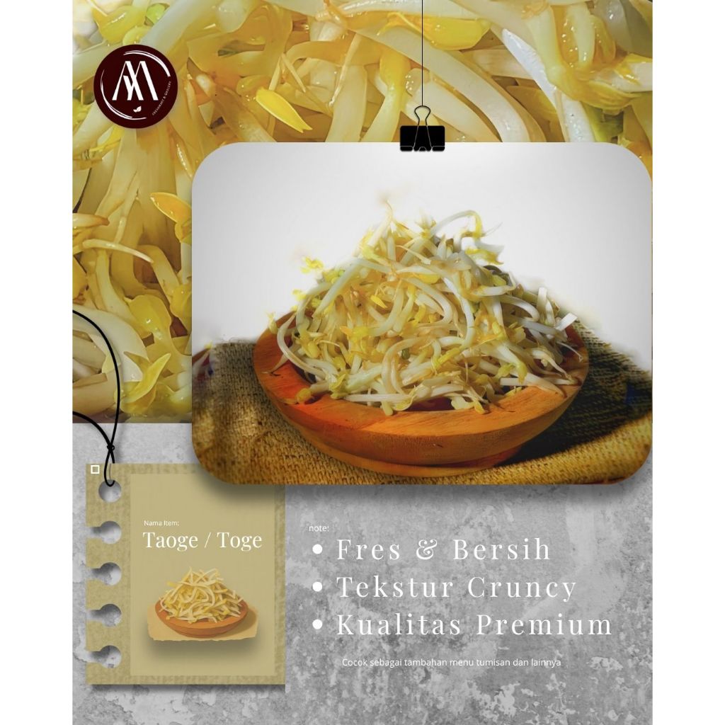 Tauge pendek/ Tauge biasa, fresh bersih