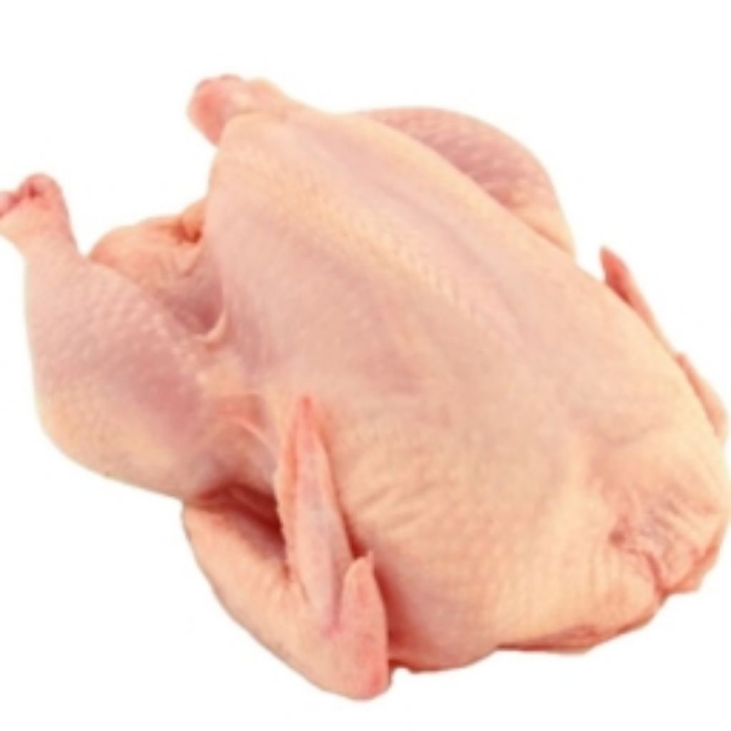 Ayam Broiler Frozen 600 gram
