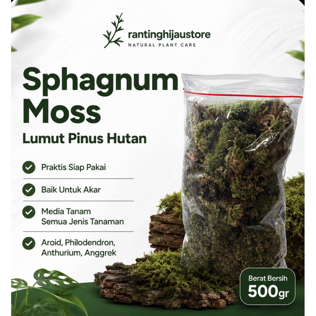Media Tanam Lumut Hidup / Moss Lumut Pinus 500gr