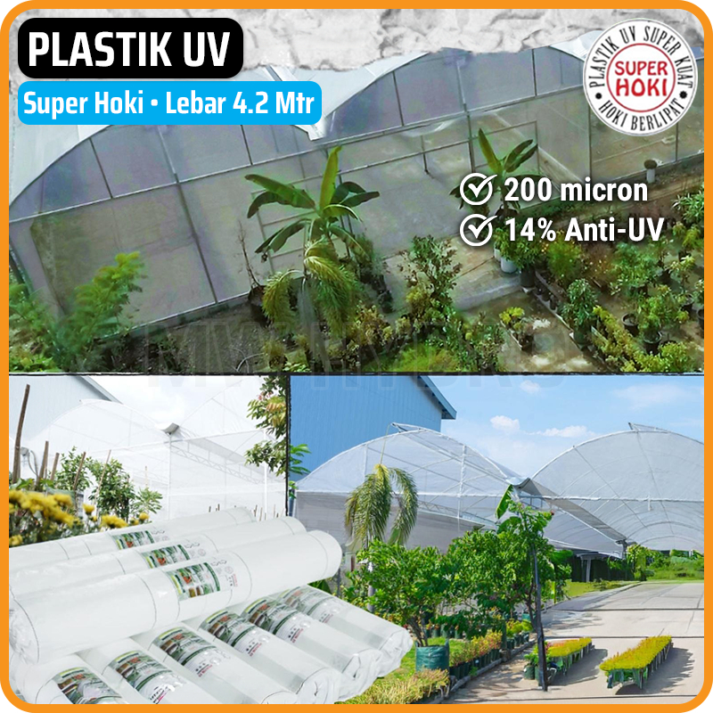 Plastik UV Greenhouse, SUPER HOKI, 200 micron, 14% Anti-UV, Lebar 4.2 Meter