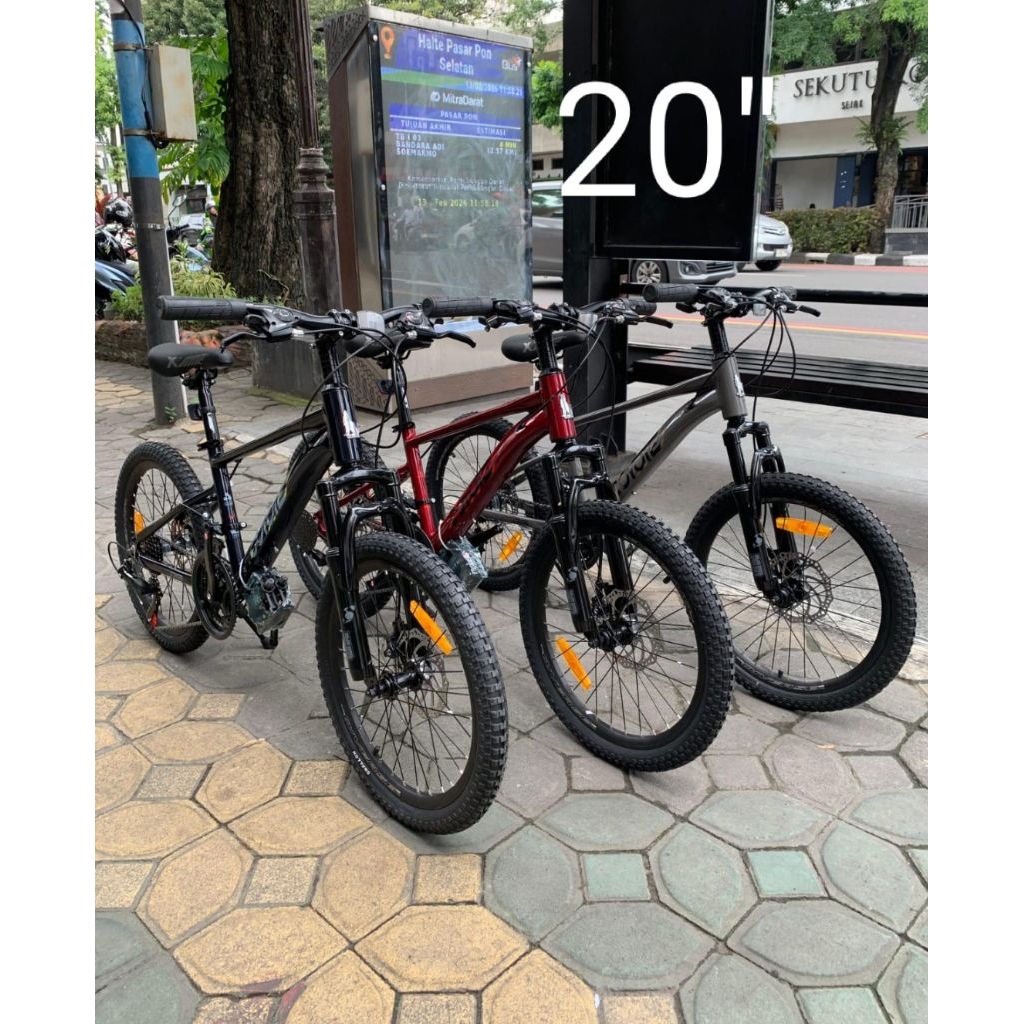 Element MTB Coyote Spy 20" Alloy