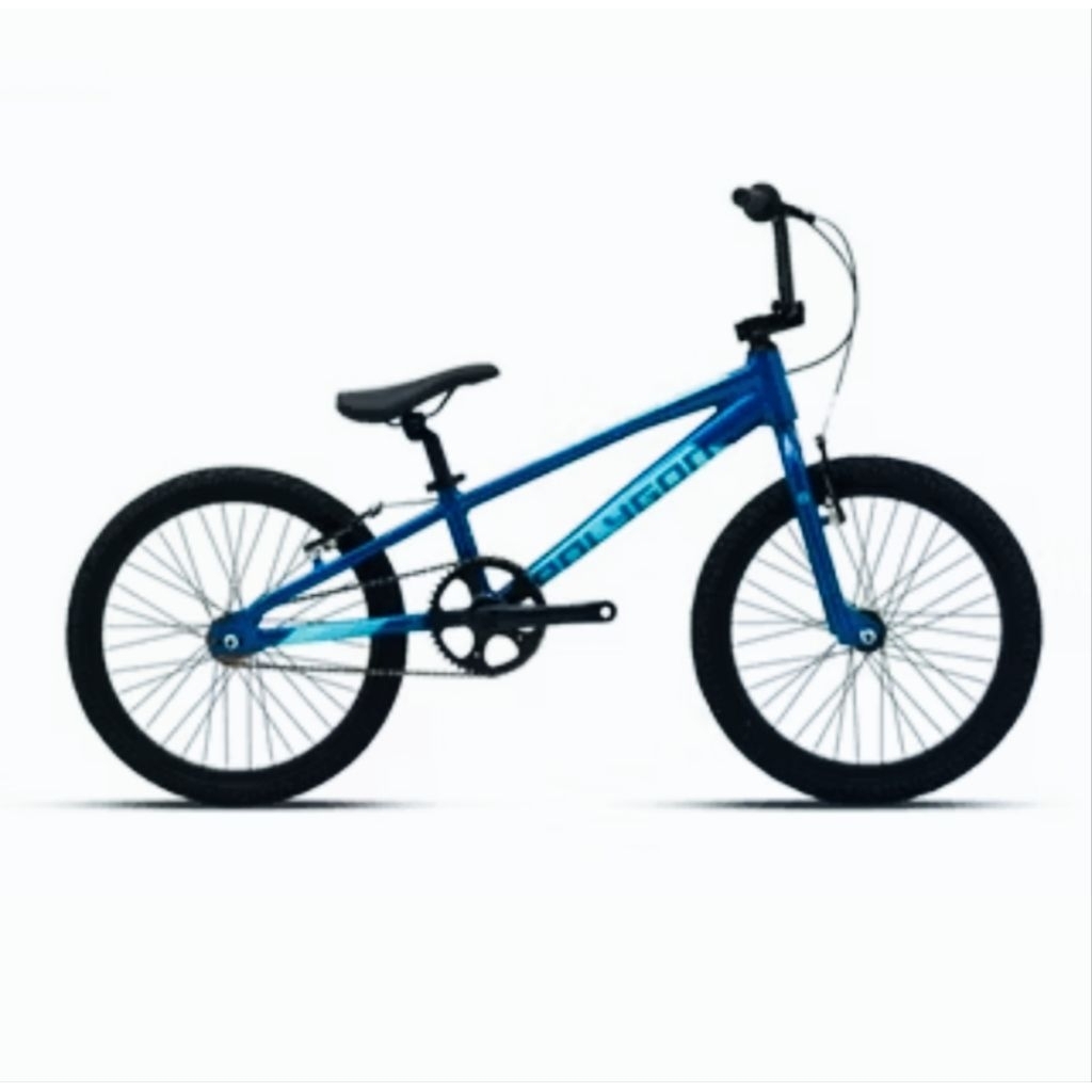 polygon rogue biru