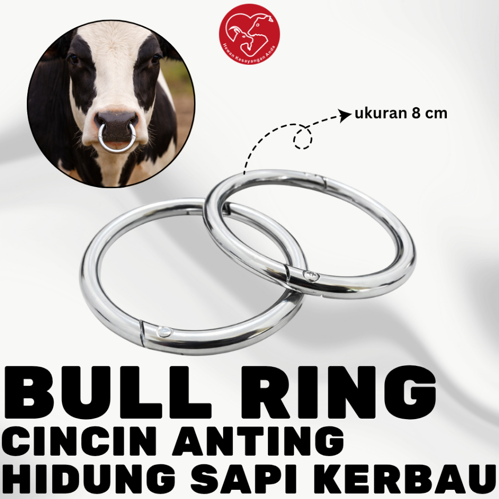 Cincin Ring Stainless Untuk Hidung Sapi Lembu Kerbau Cow Bull Cattle Nose Ring Stainless
