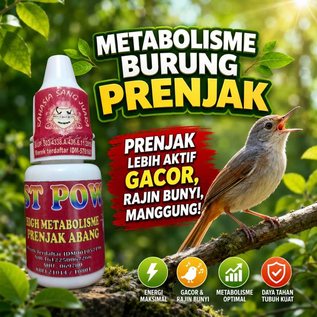 Metabolisme Burung Prenjak 15ml Vitamin Burung Prenjak Macet Bunyi