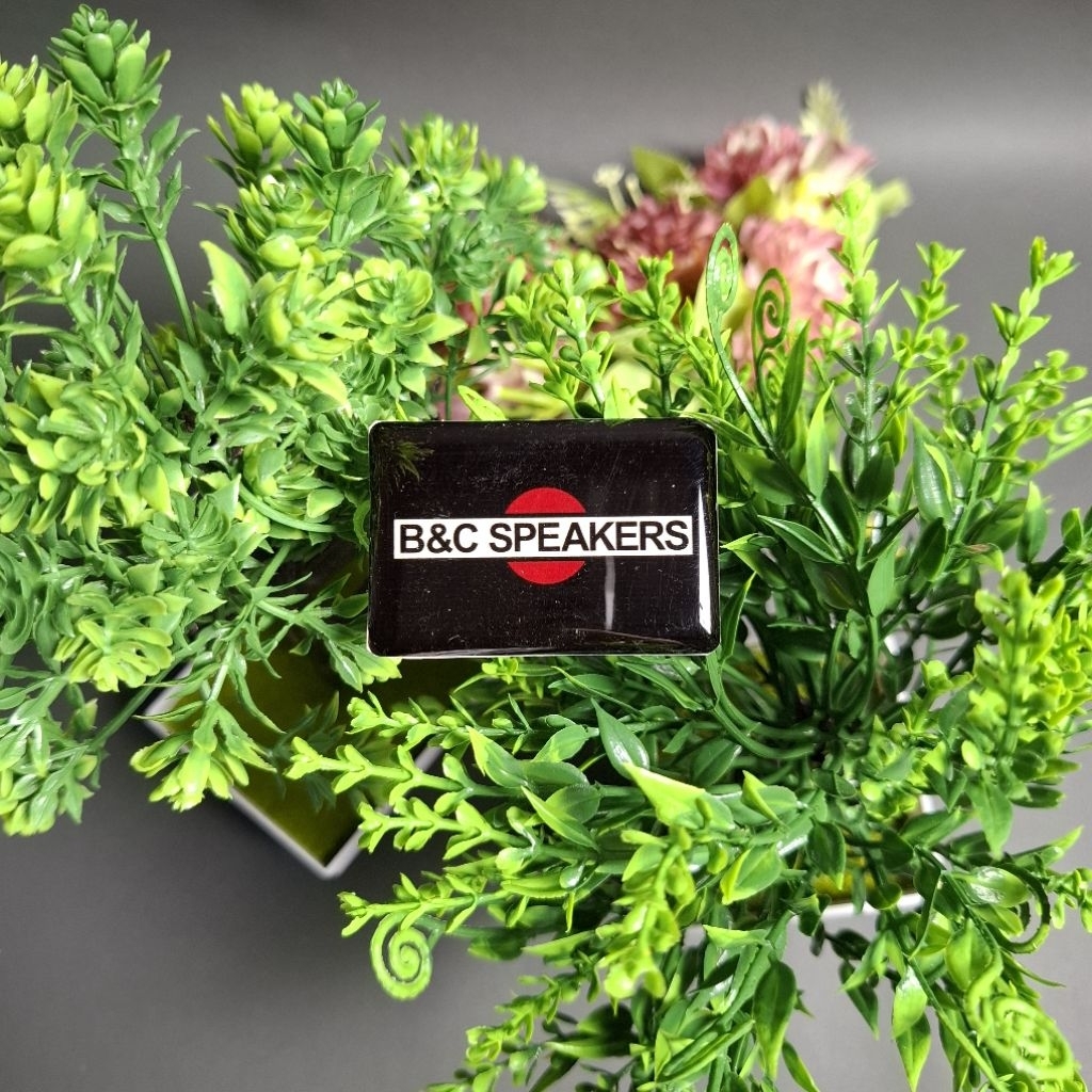 LOGO B&C SPEAKER  | EMBLEM B&C SEPEAKER | LABEL B&C SPEAKER
