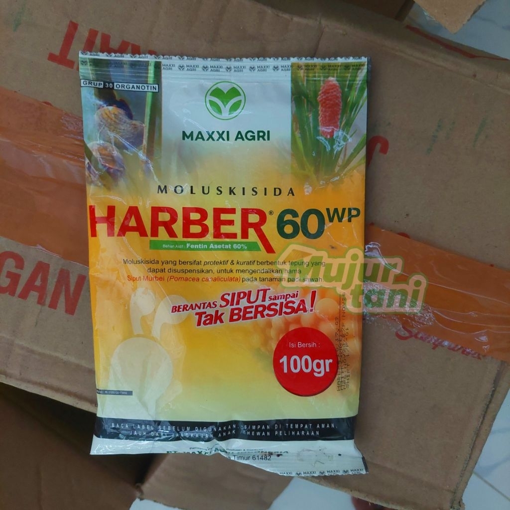 Harber 60 wp - 100 gr