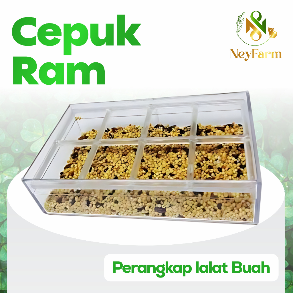 Cepuk Ram Wadah Pakan Milet Minuman Ternak Burung LOVEBIRD KOLONI