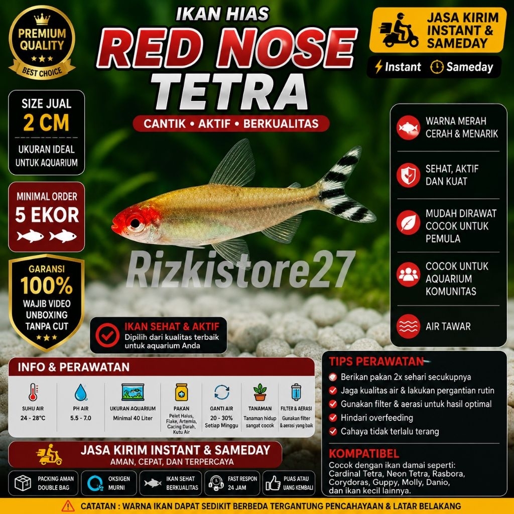 Ikan Hias Red Nose Tetra Size 2 Cm Aquarium Aquascape