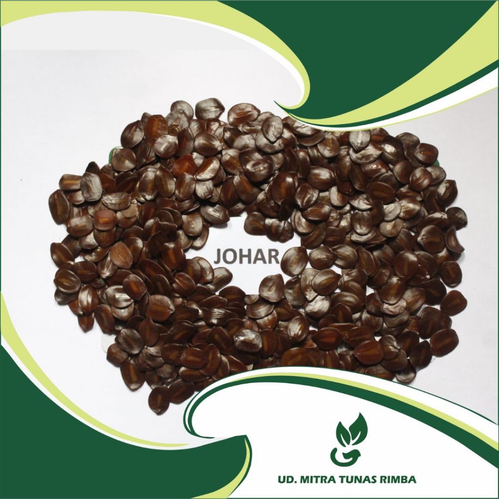 Benih/Biji Johar 1kg
