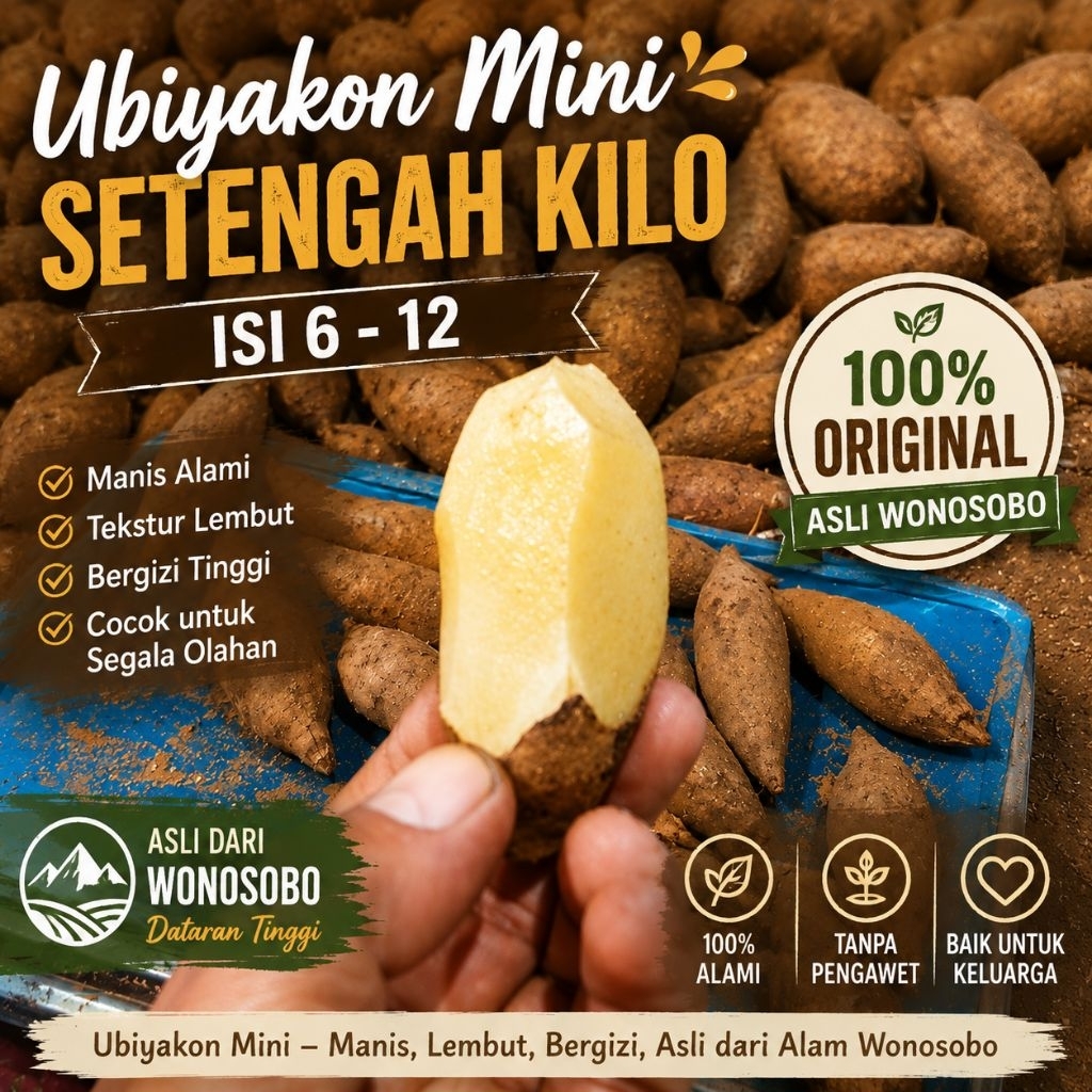 Ubi yakon Mini Fres Setengah kilo isi 6 - 12 Buah buat cemilan simpel, Segudang Manfaat, 100 % Origi
