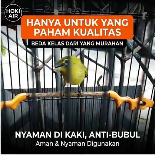 Hoki Air Kayu Asem Hutan Tangkringan Pedicure Alami Burung Helopet Pleci Sangkar Lomba Handmade Ukir