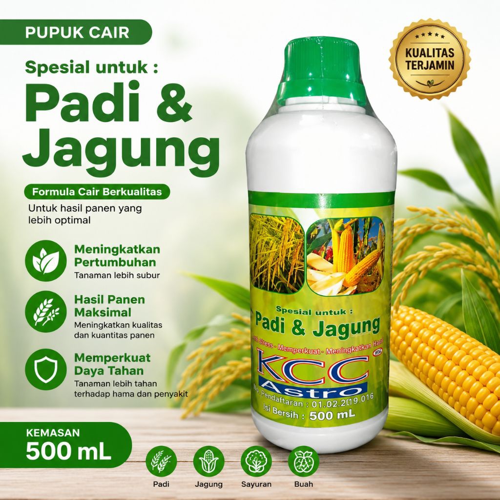 KCC ASTRO PADI JAGUNG || 500ML
