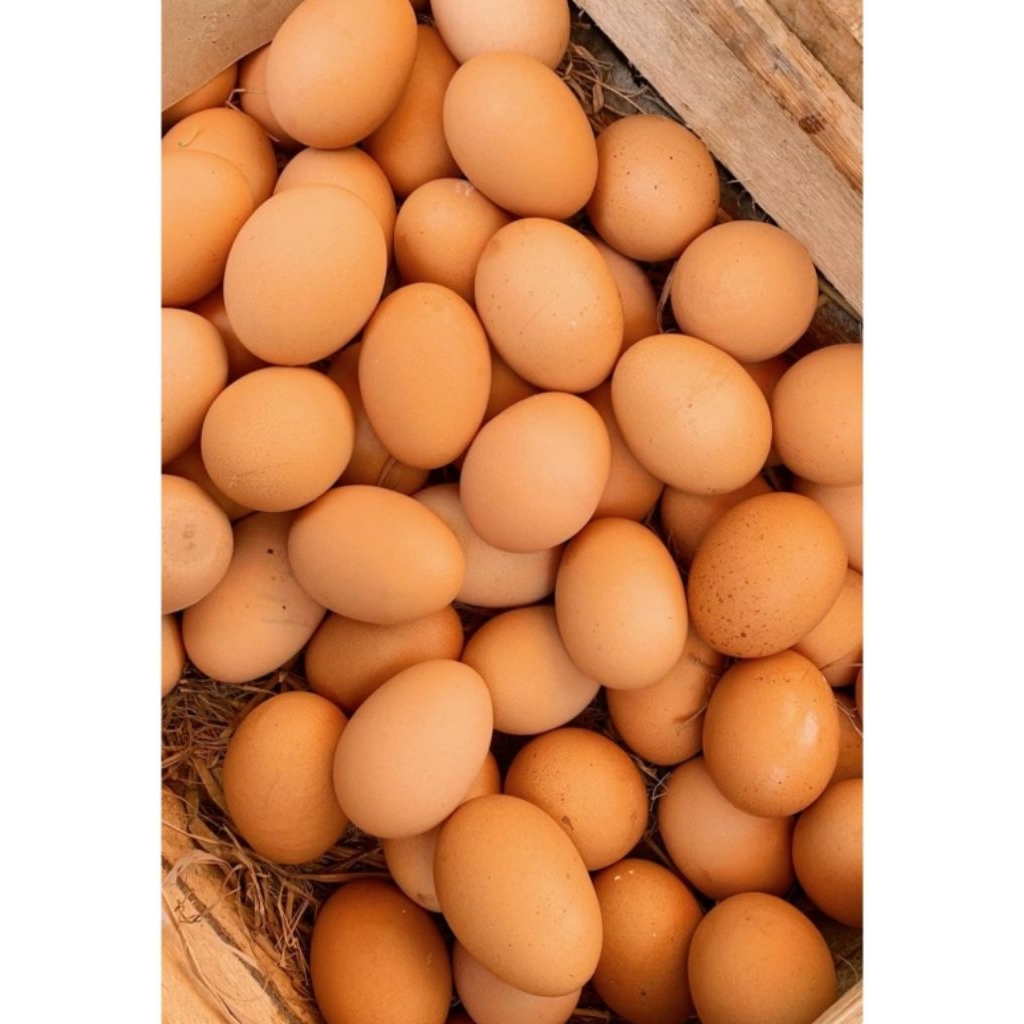 telur ayam 1 kg